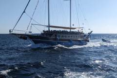 Sharm-el-Sheikh-dicembre-2023-5