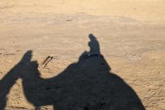 Sharm-el-Sheikh-dicembre-2023-6