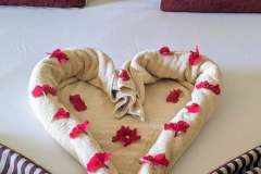 Sharm-el-Sheikh-dicembre-2023-7